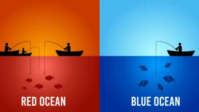 blue ocean strategy vs. red ocean strategy